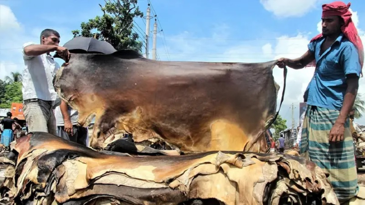 কোরবানির পশুর চামড়ার নতুন দাম নির্ধারণ কোরবানির পশুর চামড়ার নতুন দাম নির্ধারণ