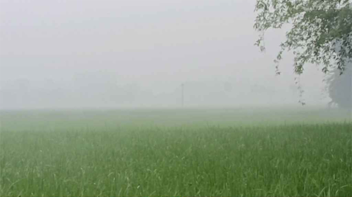 ঘন কুয়াশায় ঢেকে গেছে হিলি, থমকে সকাল