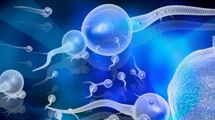 বয়স বাড়লে শুক্রাণুর গুণগত মানও কমে