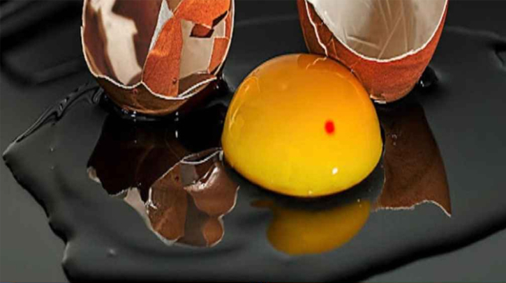 ডিমের কুসুমে রক্তের দাগ, ক্ষতিকর কি না জানালেন বিশেষজ্ঞরা