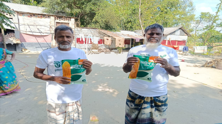 উইগ্রো’র নারিশ ৫৫: মাঠে নেমেই কৃষকের আশাবাদের গল্পে শামিল হচ্ছে যেই ভুট্টা বীজ