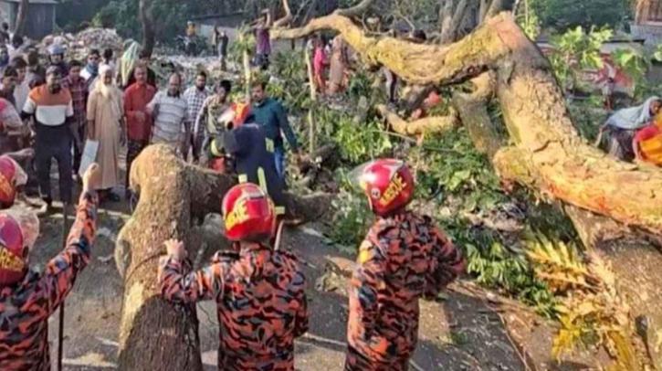 ঢাকা-বরিশাল মহাসড়কে গাছ ফেলে অবরোধ