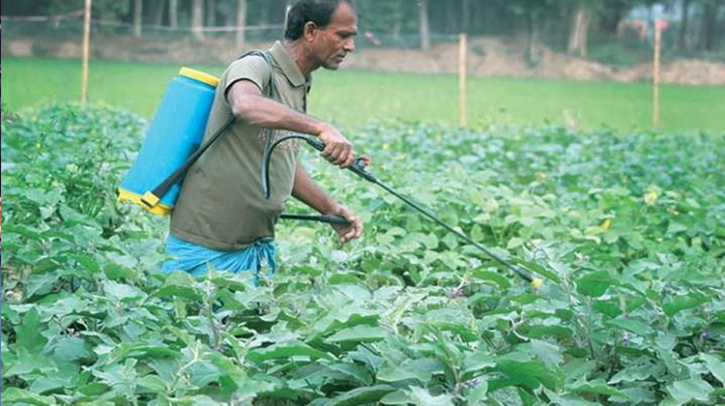 রংপুর অঞ্চলে মাত্রাতিরিক্ত কীটনাশক ও সার প্রয়োগে হুমকির মুখে জমির উর্বরতা