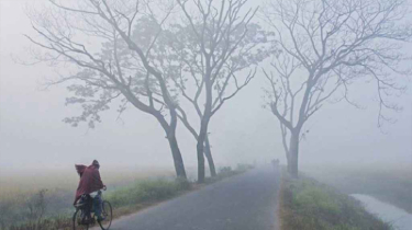 কুয়াশা বাড়ছে, তাপমাত্রা কমছে: আবহাওয়া অফিস