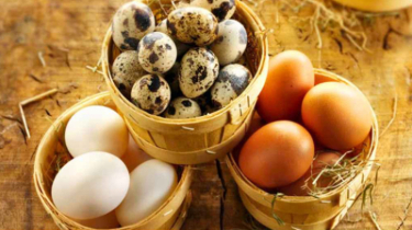 শিশুর জন্য সর্বোত্তম ডিম শিশুর জন্য সর্বোত্তম ডিম