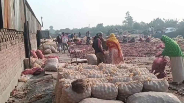 বাংলাদেশে রপ্তানি বন্ধ, বিপাকে ভারতীয় পেঁয়াজ