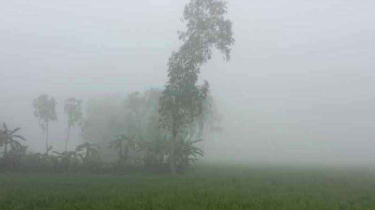 পঞ্চগড়ে ১৩ ডিগ্রি তাপমাত্রা, শীত বাড়ছে