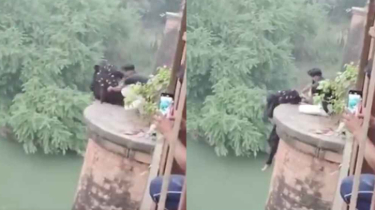 নদীতে ঝাঁপ দিতে যাওয়া তরুণীকে রক্ষা করলেন সাহসী যুবক