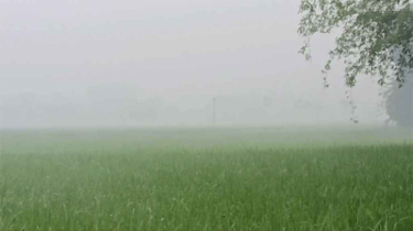 ঘন কুয়াশায় ঢেকে গেছে হিলি, থমকে সকাল