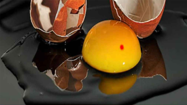 ডিমের কুসুমে রক্তের দাগ, ক্ষতিকর কি না জানালেন বিশেষজ্ঞরা ডিমের কুসুমে রক্তের দাগ, ক্ষতিকর কি না জানালেন বিশেষজ্ঞরা