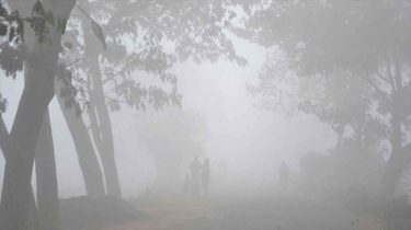 শীত নিয়ে ফের দুঃসংবাদ: কুয়াশা বাড়ছে, ঠান্ডাও বাড়বে