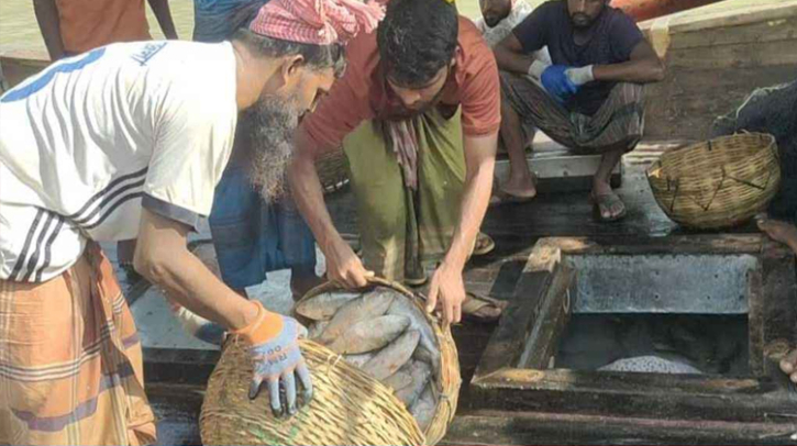 বঙ্গোপসাগর থেকে একবারে ১৭০ মণ ইলিশ ধরা পড়ল বঙ্গোপসাগর থেকে একবারে ১৭০ মণ ইলিশ ধরা পড়ল