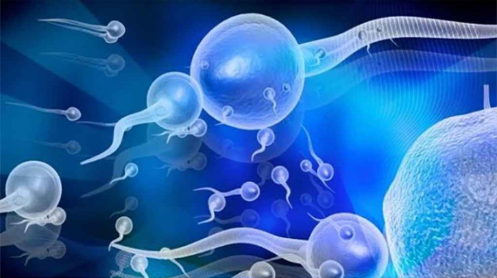 বয়স বাড়লে শুক্রাণুর গুণগত মানও কমে