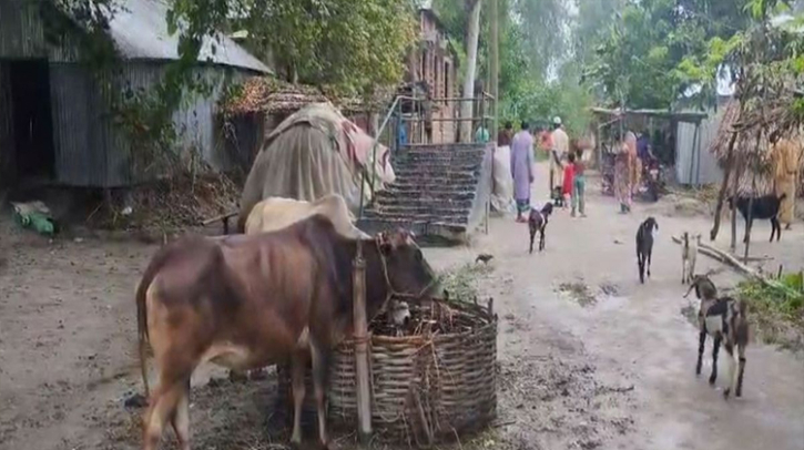 গাইবান্ধার সেই নারীর অ্যানথ্রাক্সে মৃত্যু হয়নি, সিভিল সার্জন