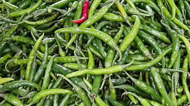 হিলি বন্দরে কাঁচামরিচের দাম কমেছে