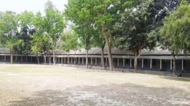 সিরাজগঞ্জে ৭ কলেজে শতভাগ ফেল