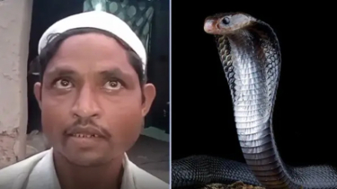 রাতে স্ত্রী সাপ হয়ে কামড়ানোর চেষ্টা করেন: দাবি স্বামীর