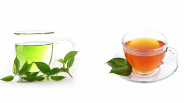 কোনটি বেশি উপকারীগ্রিন, টি না কি লাল চা?