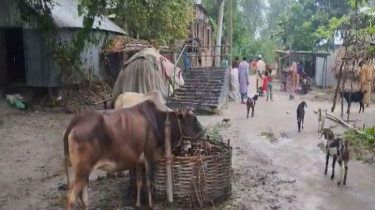 গাইবান্ধার সেই নারীর অ্যানথ্রাক্সে মৃত্যু হয়নি, সিভিল সার্জন
