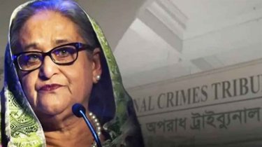 হাসিনার মামলায় আজ চূড়ান্ত যুক্তিতর্ক