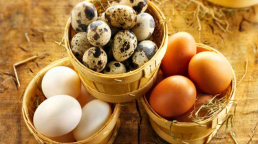 শিশুর জন্য সর্বোত্তম ডিম শিশুর জন্য সর্বোত্তম ডিম