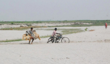 পানির অভাবে তিস্তা এখন মরুময় বালুচর