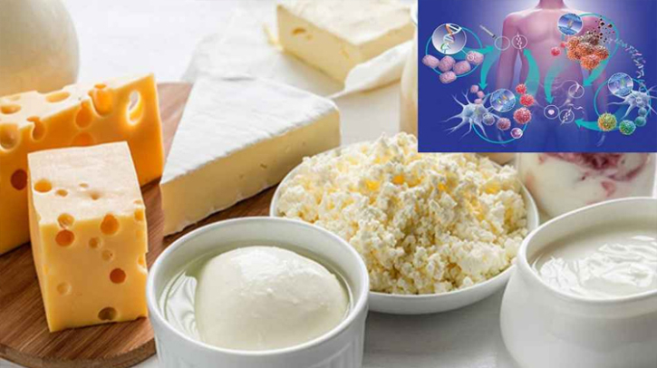 ক্যান্সারের সম্ভাবনা কমাতে যে খাবারগুলো উপকারী
