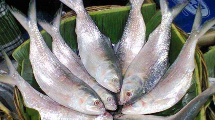 কলকাতার বাজারে বাংলাদেশের ইলিশের দাম কত