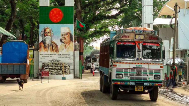কাঁচামরিচের ট্রাকের আড়ালে এয়ারগান, যশোরে বিজিবির হাতে ফাঁস ভারতীয় চালকরা