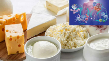 ক্যান্সারের সম্ভাবনা কমাতে যে খাবারগুলো উপকারী