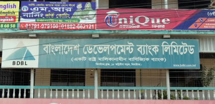 বাংলাদেশ ডেভেলপমেন্ট ব্যাংকের এমডিসহ ৭ জনের বিরুদ্ধে ঝিনাইদহে মামলা