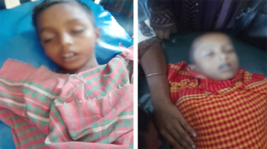 খালের পানিতে ডুবে দুই শিশুর মৃত্যু