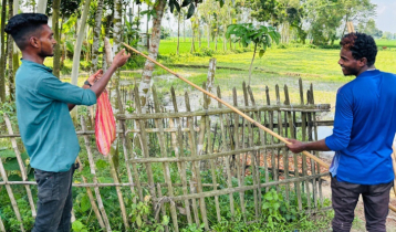 কোনো কাজে দক্ষতাও নেই, সুযোগও নেই ইঁদুর আর পাখি শিকার করে চলে তাদের সংসার