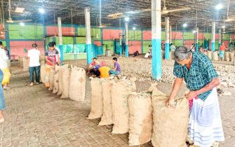 হিমাগারে আলু সংরক্ষণ করে চরম বিপাকে কৃষক
