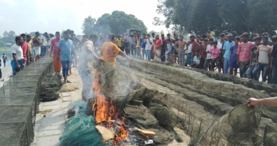 ঠাকুরগাঁওয়ের ভূল্লীবাঁধে ২ লাখ টাকার অবৈধ জাল জব্দ ও ধ্বংস