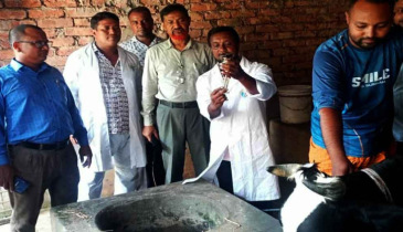 রংপুরে অ্যানথ্রাক্সের উপসর্গে দুই ব্যক্তির মৃত্যু 