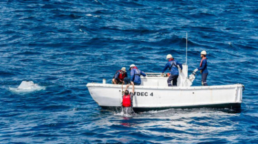 Sri Lanka Evacuates 238 Iranian Sailors After Reported US Attack at Sea