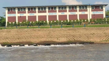শতকোটি টাকার ফসল রক্ষার পাম্প হাউসই এখন কৃষকের গলার কাঁটা