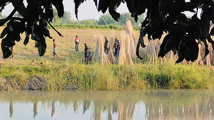 মেহেরপুরে উদ্ধার ৯৬ মাইন