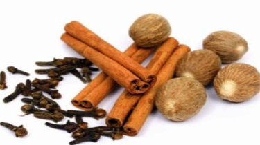 ডায়াবেটিস সামলাতে রান্নায় রাখুন এই মসলাগুলো