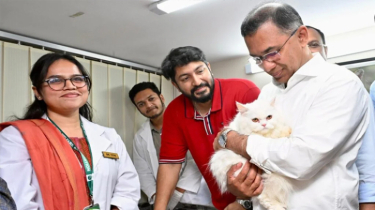 BNP Chairman Tarique Rahman Visits Free Animal Clinic Established by BAWA