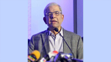 তারেক রহমানই প্রধানমন্ত্রী হবেন, মির্জা ফখরুল
