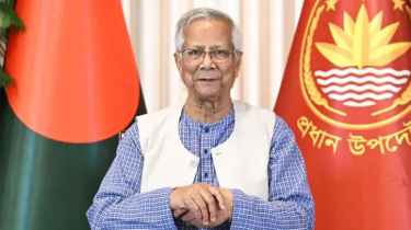 নতুন গণতান্ত্রিক অধ্যায়ের সূচনা করেছে ত্রয়োদশ সংসদ নির্বাচন: প্রধান উপদেষ্টা