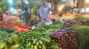 রোজার শুরুতেই শসা-বেগুনের দাম চড়া, ফল কিনতে হিমশিম