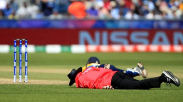 ক্রিকেট ম্যাচে অপ্রত্যাশিত ঘটনা, মৌমাছির কামড়ে প্রাণ হারালেন আম্পায়ার