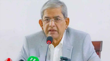 সিটি নির্বাচন নিয়ে যা বললেন মির্জা ফখরুল