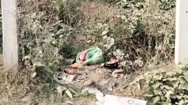 নড়াইলে শপিংব্যাগে মিলল নবজাতকের মরদেহ