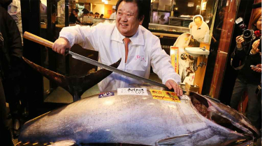 ২৪৩ কেজি ওজনের টুনা মাছ ৩২ লাখ ডলারে বিক্রি হলো