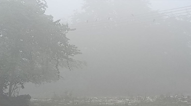 পঞ্চগড়ে তাপমাত্রা ৭.৫ ডিগ্রি, ঘনকুয়াশা ও শৈত্যপ্রবাহে স্থবির হয়ে পড়েছে উত্তরাঞ্চল