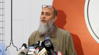 Cricketers Remain Firm on Resignation Demand-Fears of BPL and Domestic Cricket Disruption